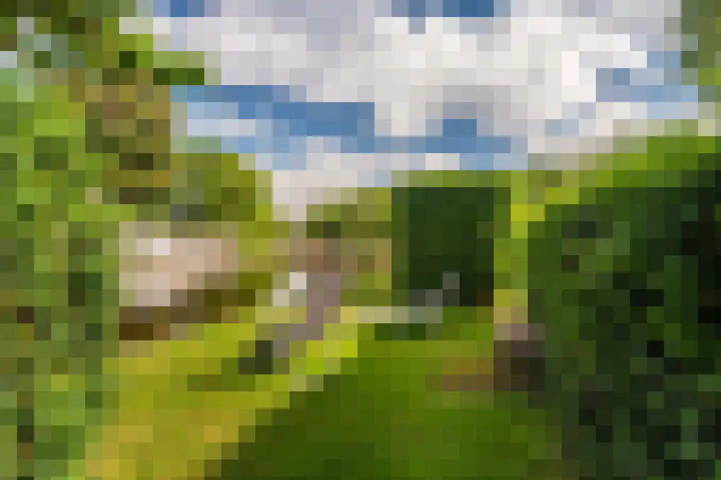 Leo de Weijshof 15 Wildervank thumbnail 50