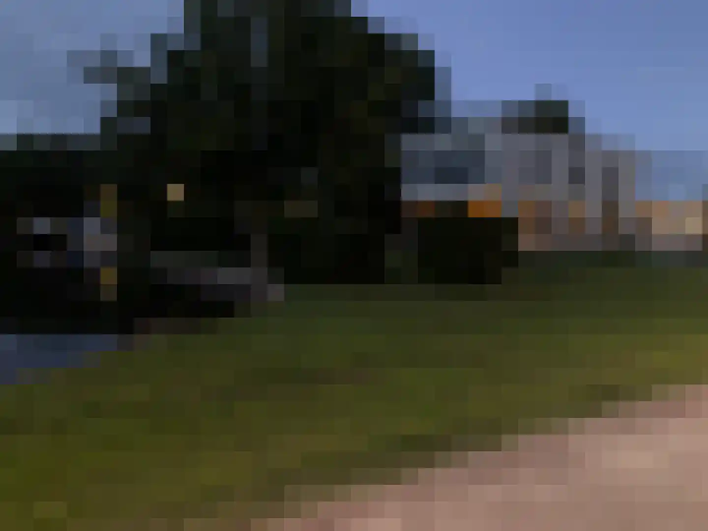 Leo de Weijshof 15 Wildervank thumbnail 63