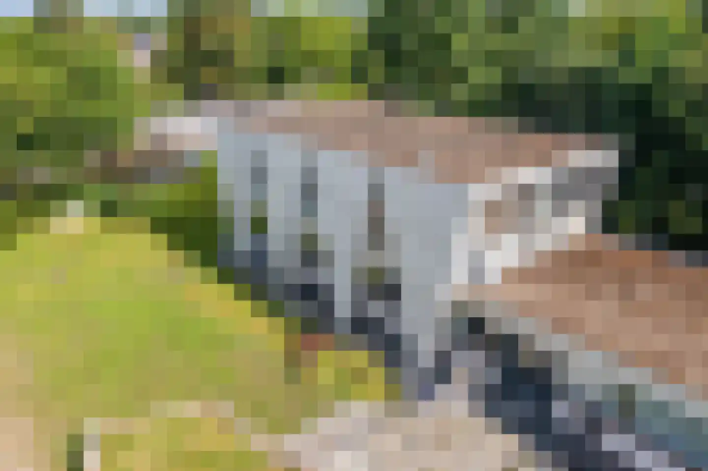 Leo de Weijshof 15 Wildervank thumbnail 7