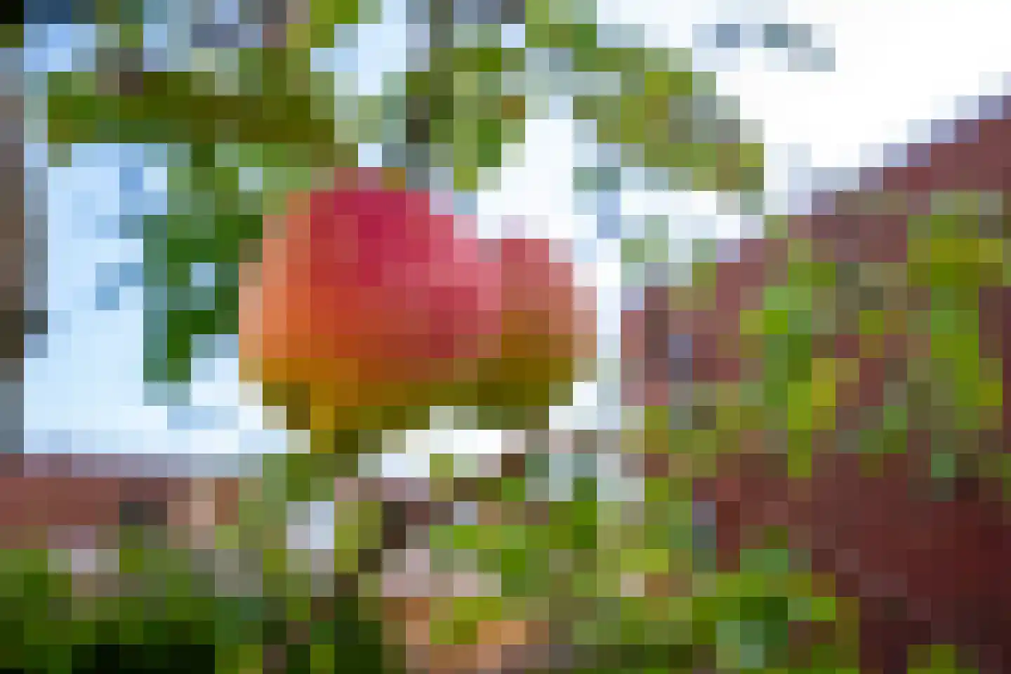 Leo de Weijshof 16 Wildervank thumbnail 35