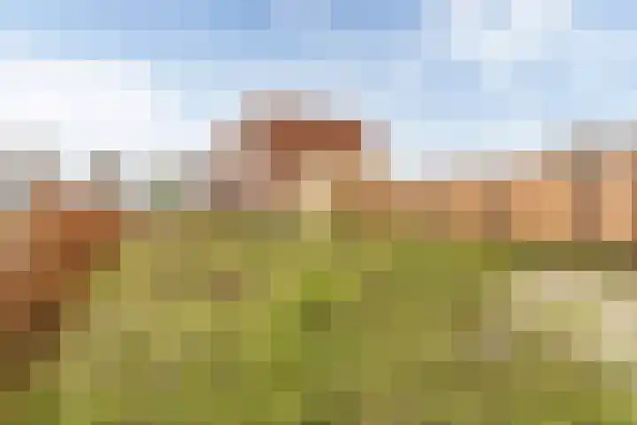 Leo de Weijshof 32 Wildervank thumbnail 26