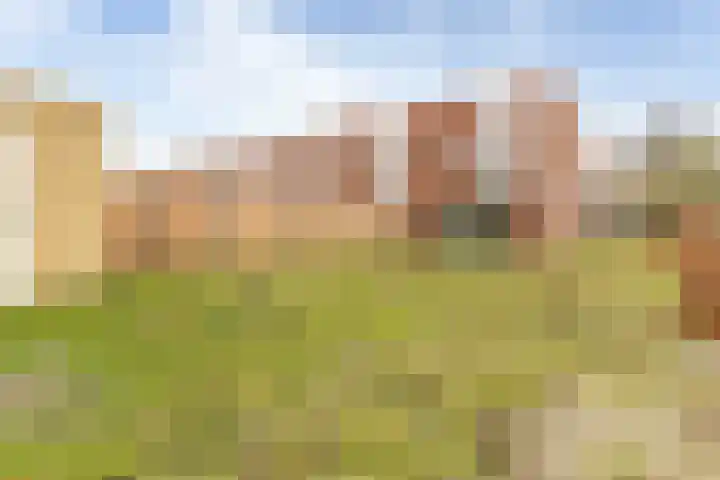 Leo de Weijshof 32 Wildervank thumbnail 27