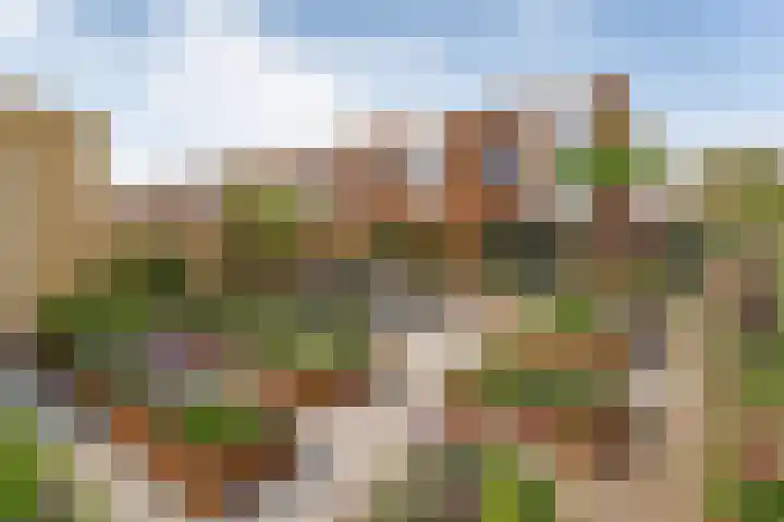 Leo de Weijshof 32 Wildervank thumbnail 28