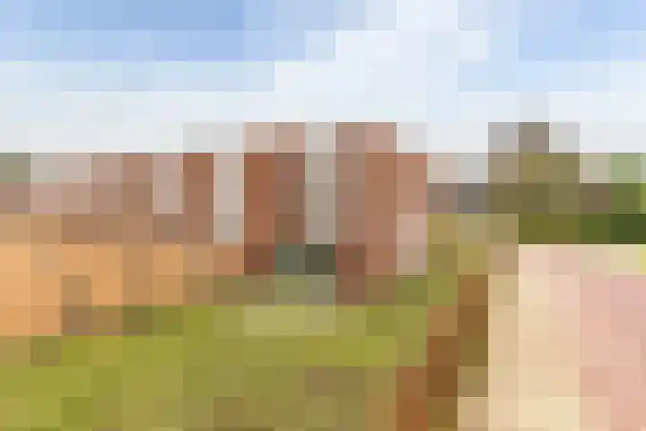 Leo de Weijshof 32 Wildervank thumbnail 31