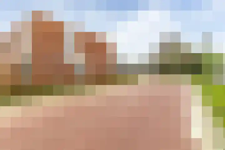 Leo de Weijshof 32 Wildervank thumbnail 32