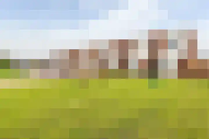 Leo de Weijshof 32 Wildervank thumbnail 33