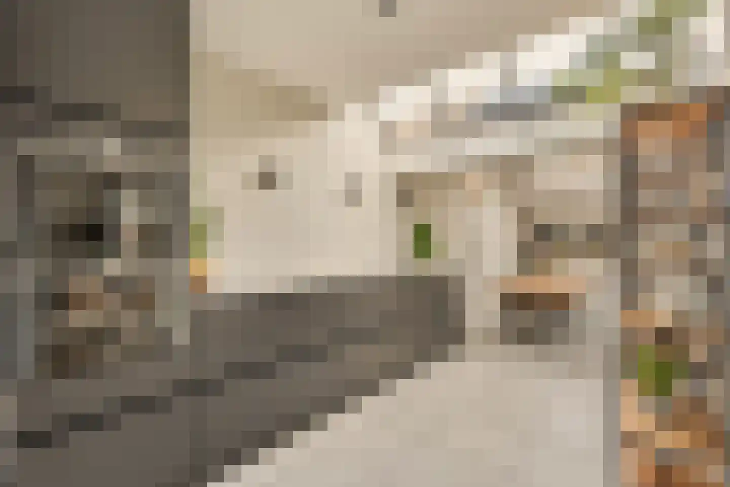 Leo Dongelmansstraat 9 Abcoude thumbnail 12