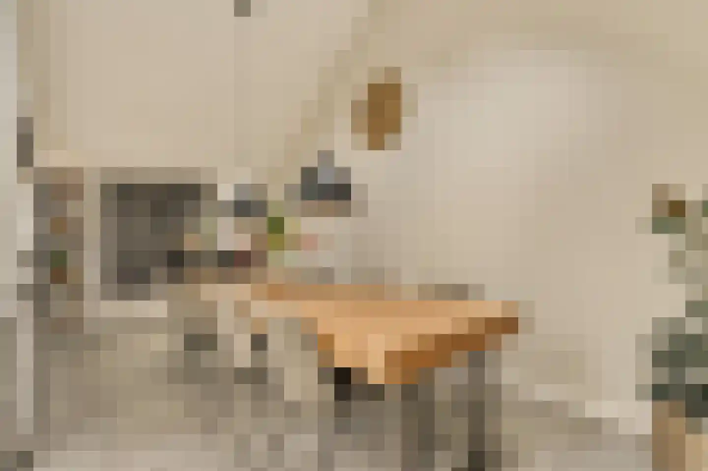 Leo Dongelmansstraat 9 Abcoude thumbnail 17