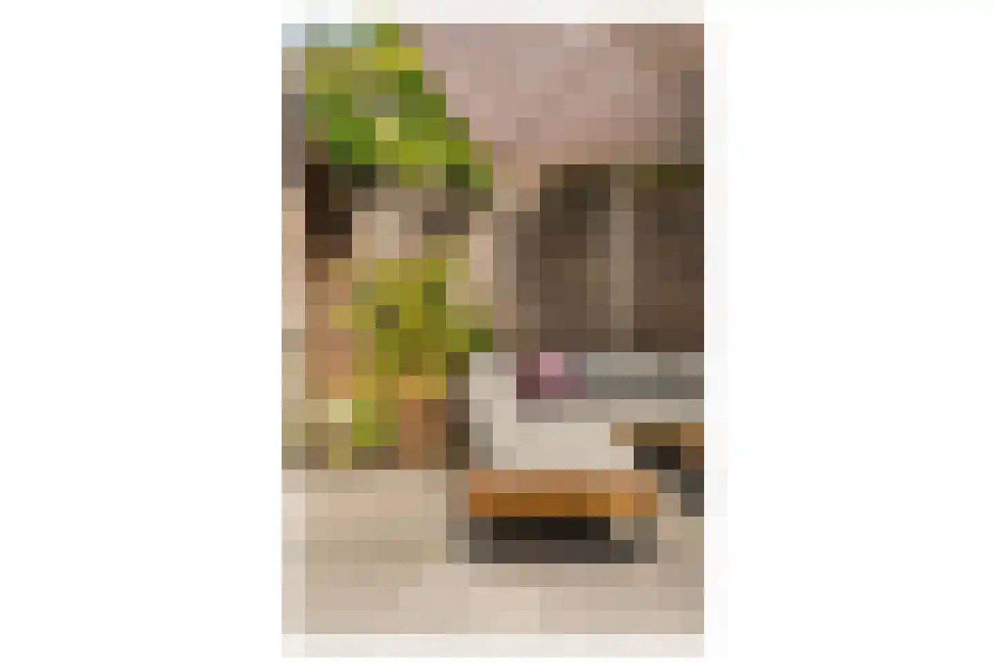 Leo Dongelmansstraat 9 Abcoude thumbnail 19