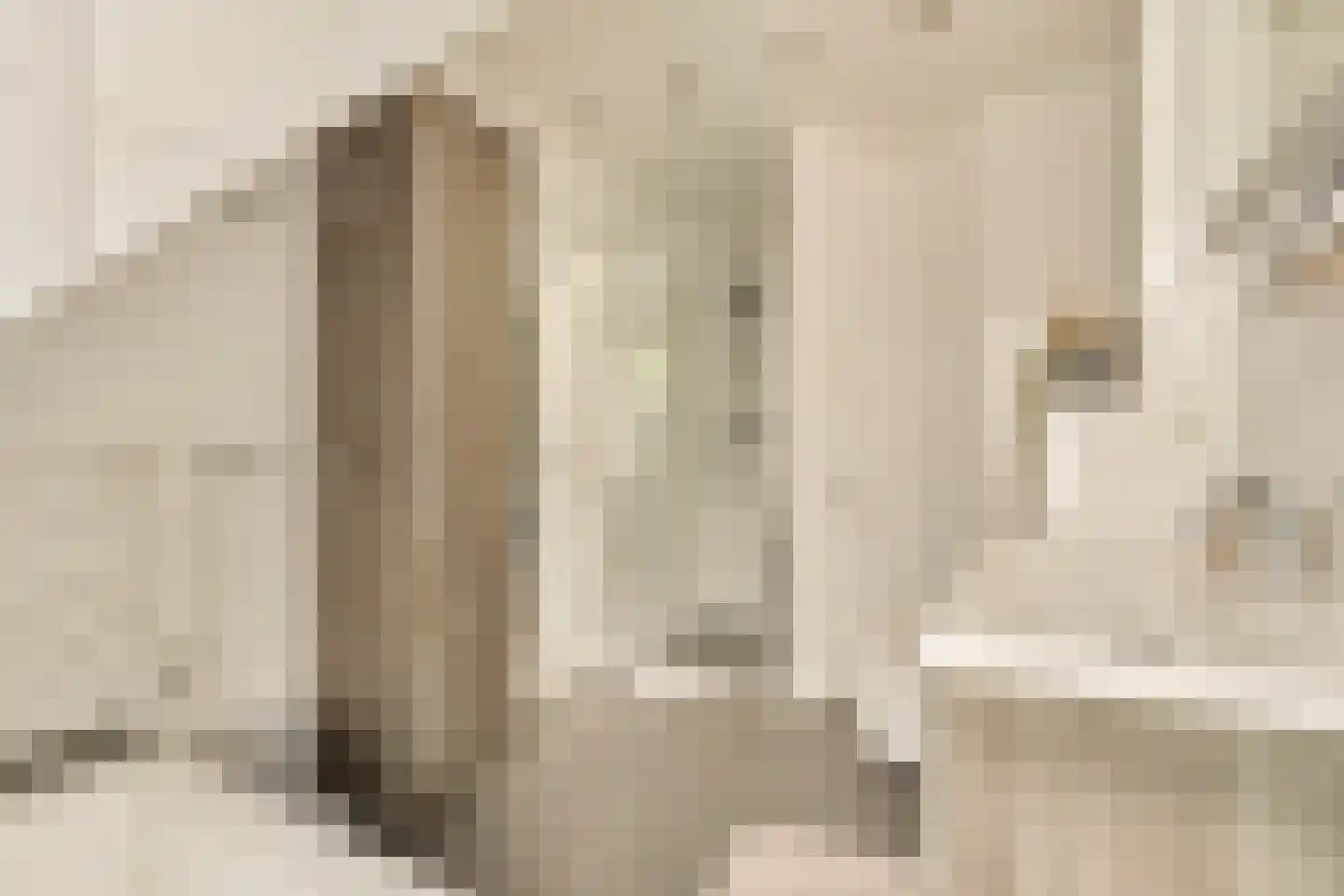 Leo Dongelmansstraat 9 Abcoude thumbnail 30