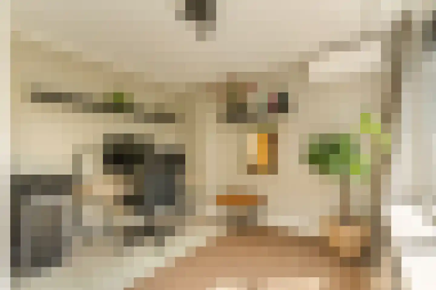 Leo Dongelmansstraat 9 Abcoude thumbnail 32