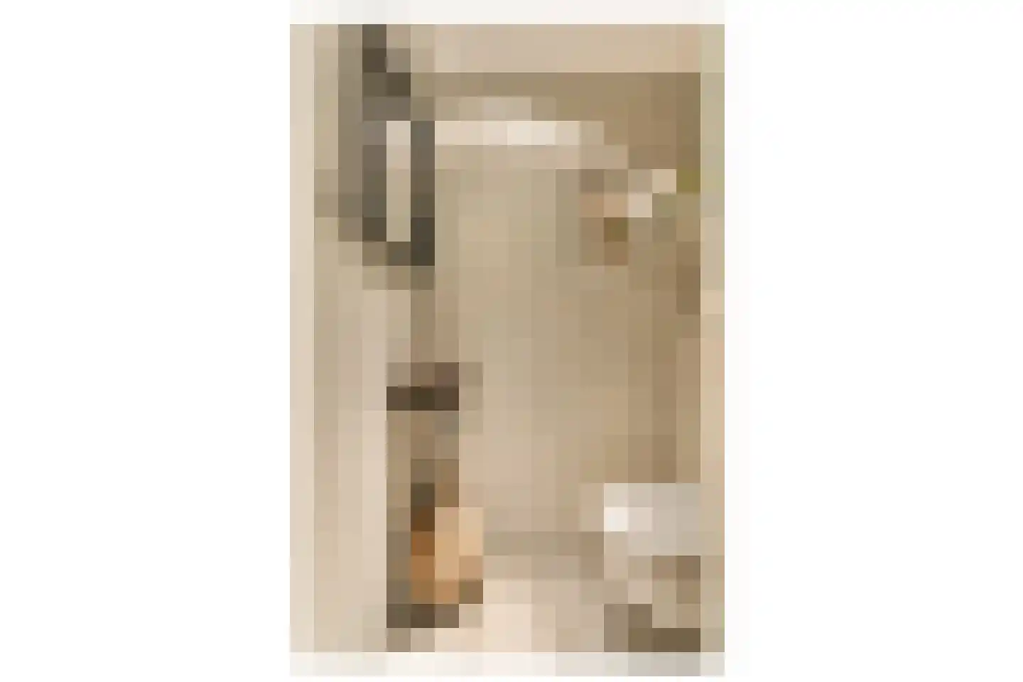 Leo Dongelmansstraat 9 Abcoude thumbnail 4