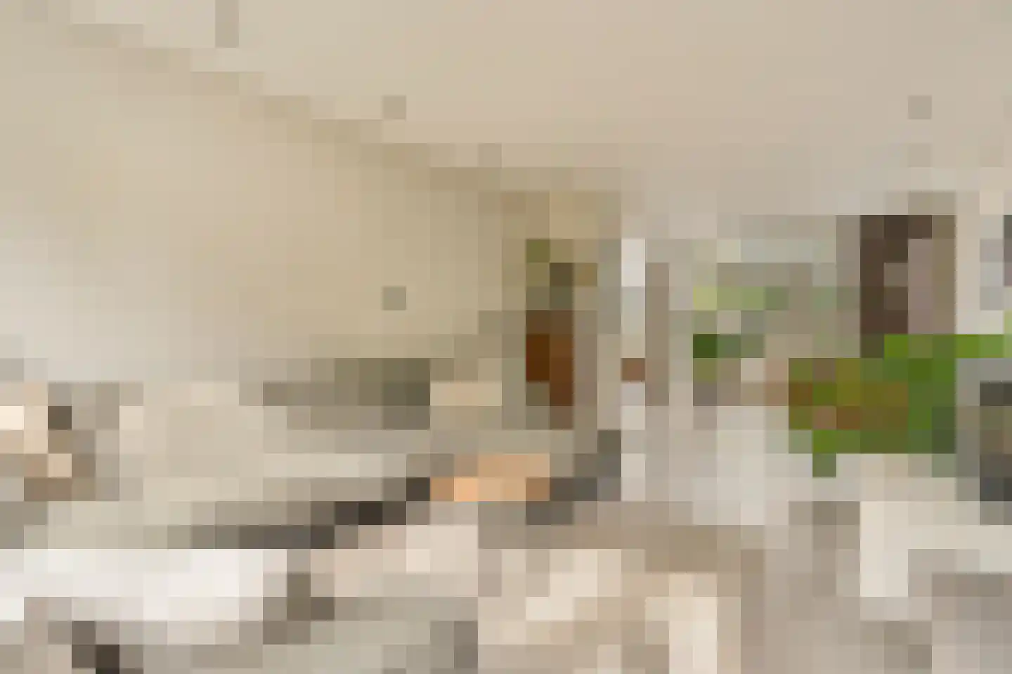 Leo Dongelmansstraat 9 Abcoude thumbnail 9