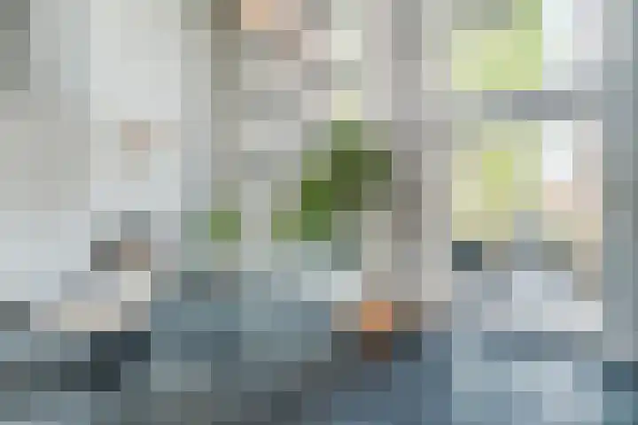 Leo Fallplantsoen 12 Utrecht thumbnail 16