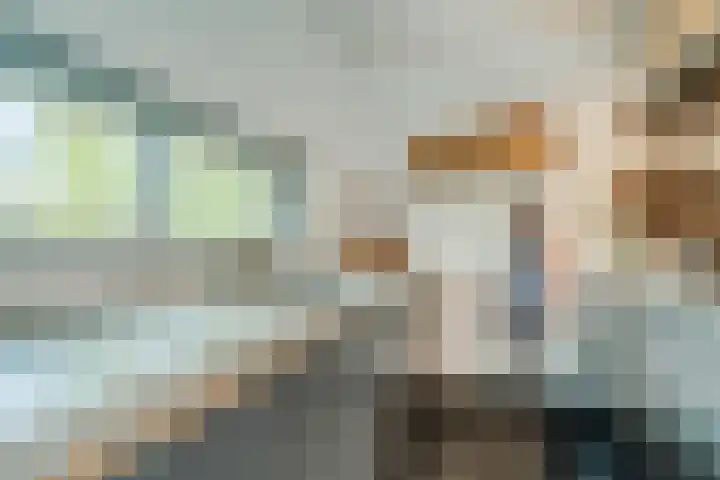 Leo Fallplantsoen 12 Utrecht thumbnail 18
