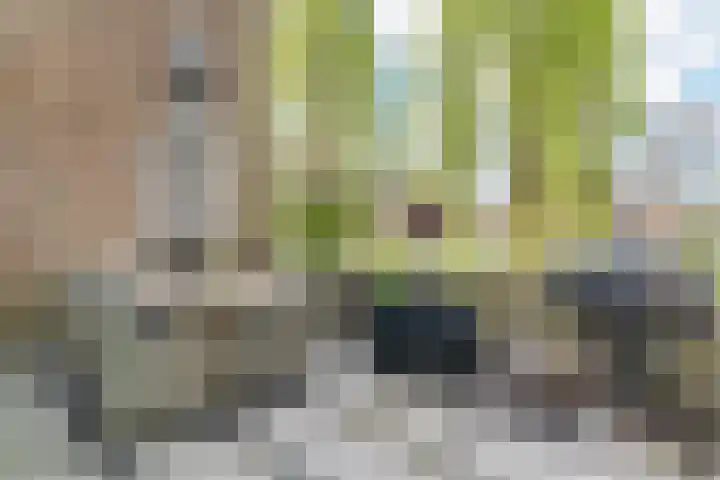 Leo Fallplantsoen 12 Utrecht thumbnail 20