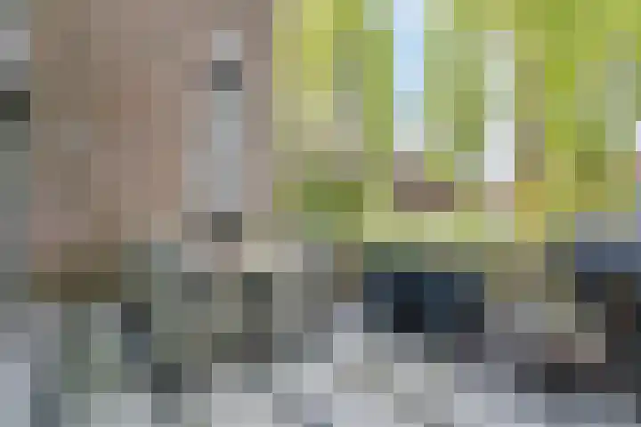 Leo Fallplantsoen 12 Utrecht thumbnail 21