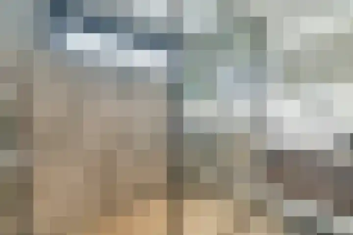 Leo Fallplantsoen 12 Utrecht thumbnail 31