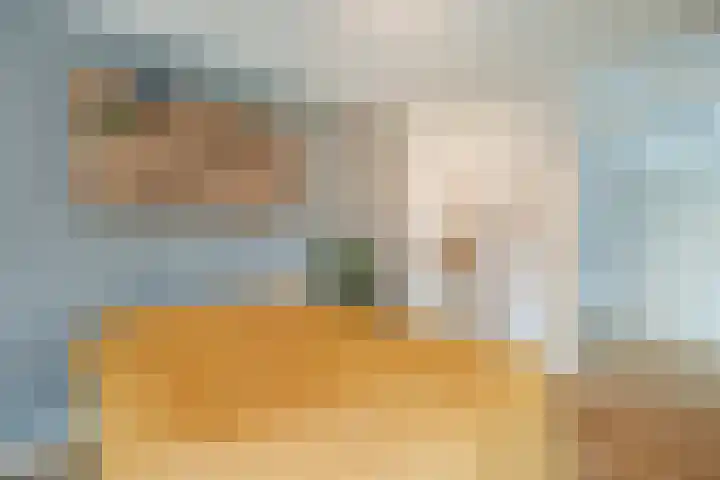 Leo Fallplantsoen 12 Utrecht thumbnail 34