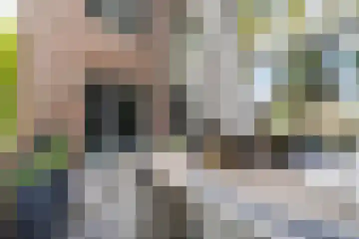 Leo Fallplantsoen 12 Utrecht thumbnail 4