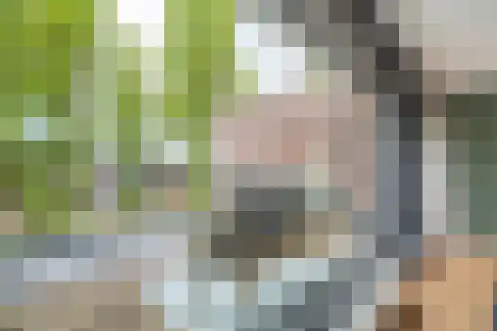 Leo Fallplantsoen 12 Utrecht thumbnail 40