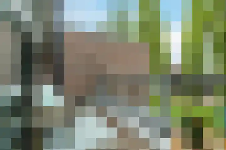 Leo Fallplantsoen 12 Utrecht thumbnail 41