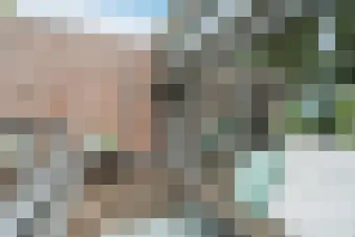 Leo Fallplantsoen 12 Utrecht thumbnail 42