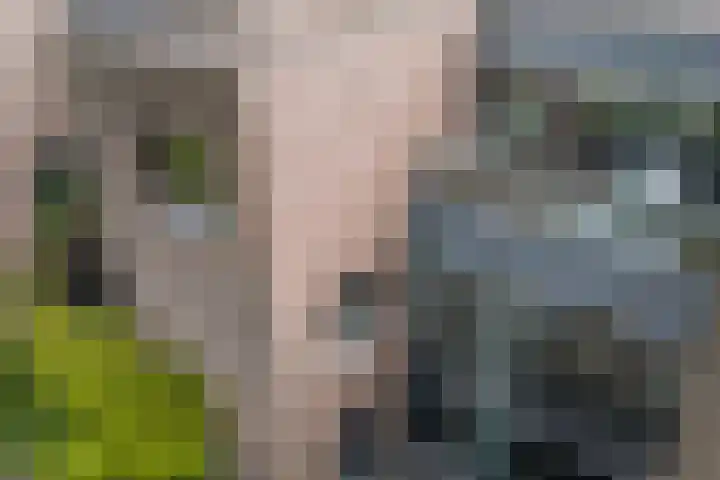 Leo Fallplantsoen 12 Utrecht thumbnail 43