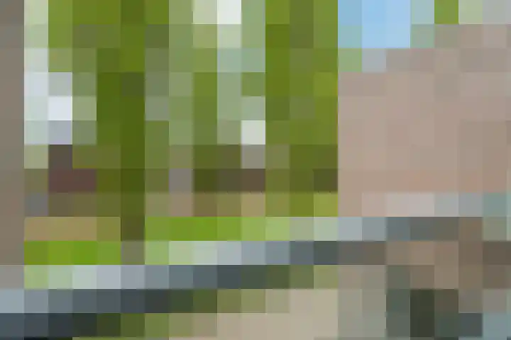 Leo Fallplantsoen 12 Utrecht thumbnail 44
