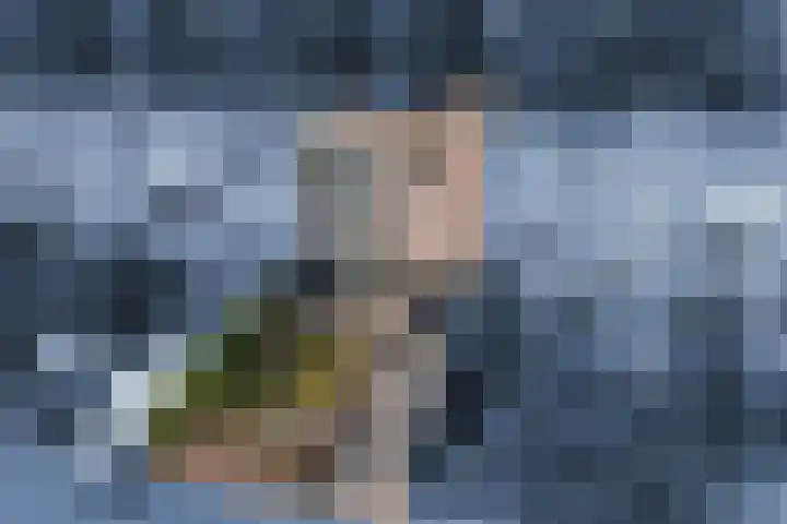 Leo Fallplantsoen 12 Utrecht thumbnail 5