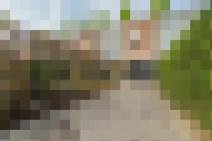 Leo Fallplantsoen 12 Utrecht thumbnail 52