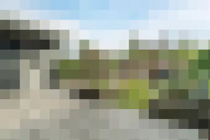 Leo Fallplantsoen 12 Utrecht thumbnail 53