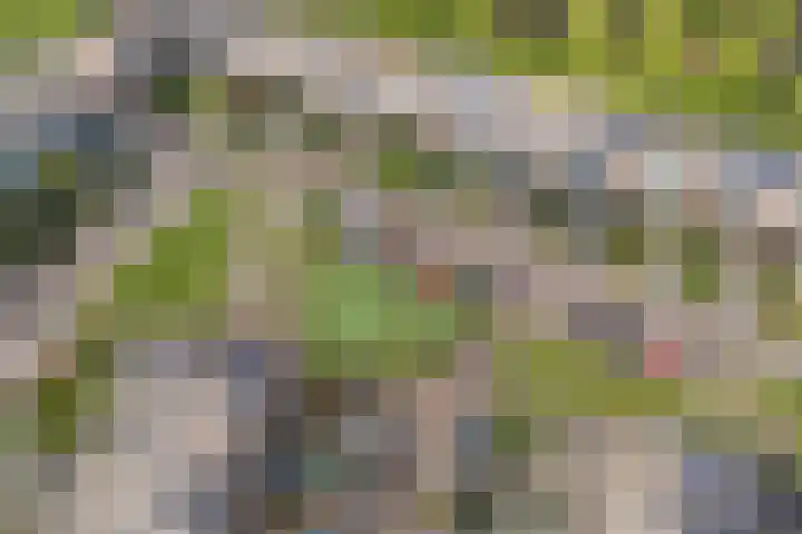 Leo Fallplantsoen 12 Utrecht thumbnail 56