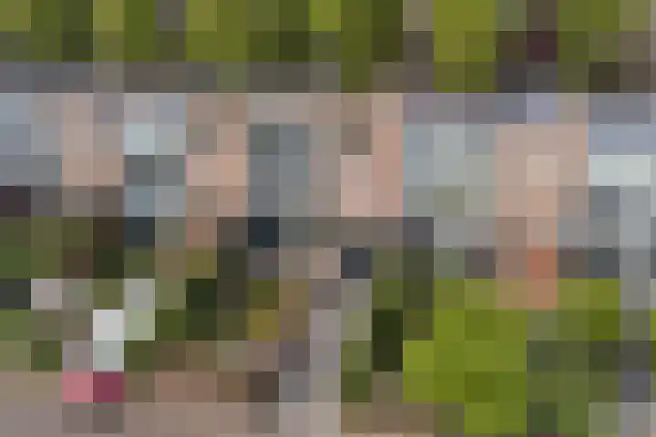 Leo Fallplantsoen 12 Utrecht thumbnail 57