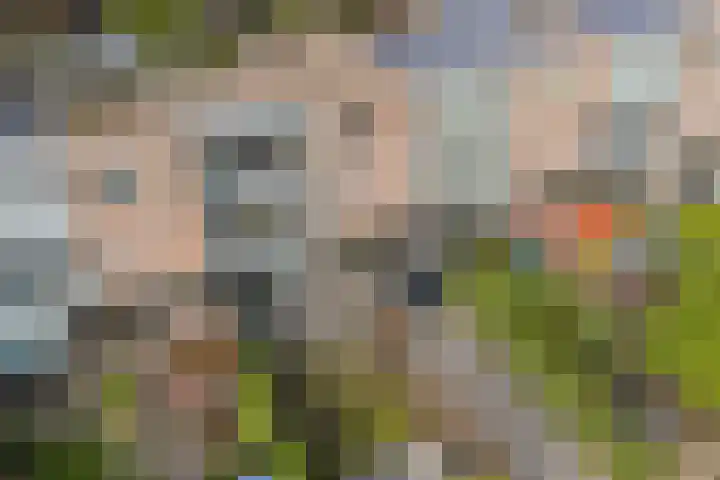 Leo Fallplantsoen 12 Utrecht thumbnail 58