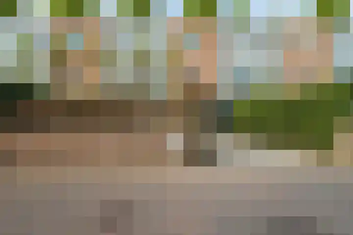 Leo Fallplantsoen 12 Utrecht thumbnail 59