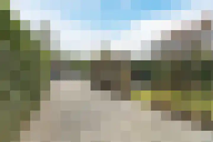 Leo Fallplantsoen 12 Utrecht thumbnail 61