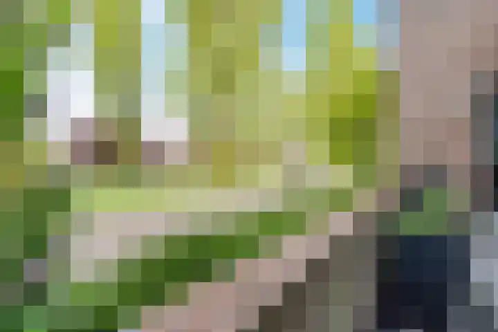 Leo Fallplantsoen 12 Utrecht thumbnail 62