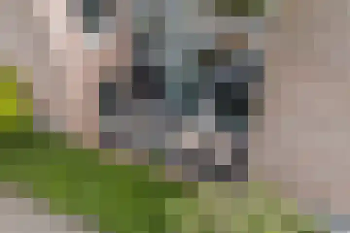 Leo Fallplantsoen 12 Utrecht thumbnail 63