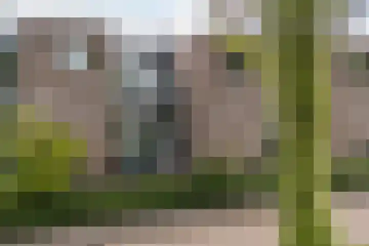 Leo Fallplantsoen 12 Utrecht thumbnail 64