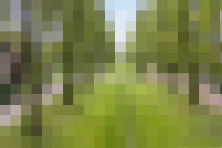 Leo Fallplantsoen 12 Utrecht thumbnail 65
