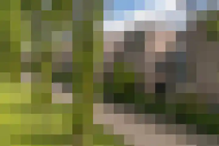 Leo Fallplantsoen 12 Utrecht thumbnail 66