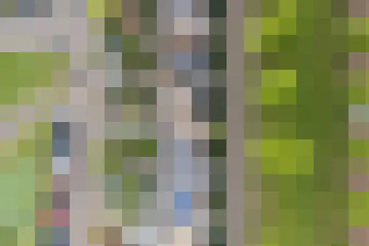 Leo Fallplantsoen 12 Utrecht thumbnail 67