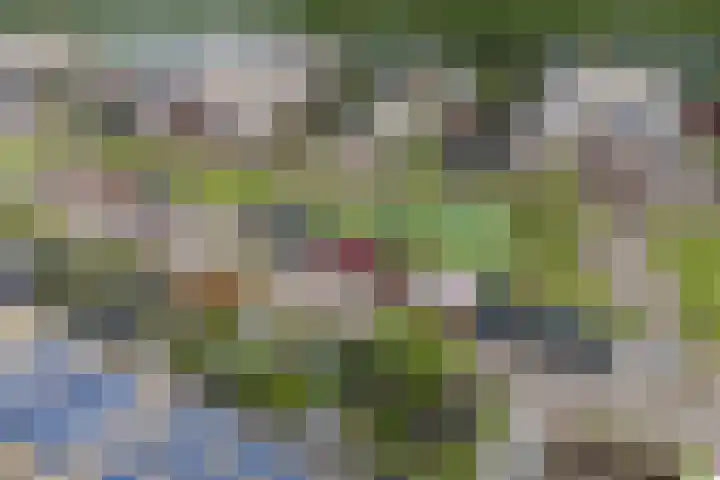 Leo Fallplantsoen 12 Utrecht thumbnail 68