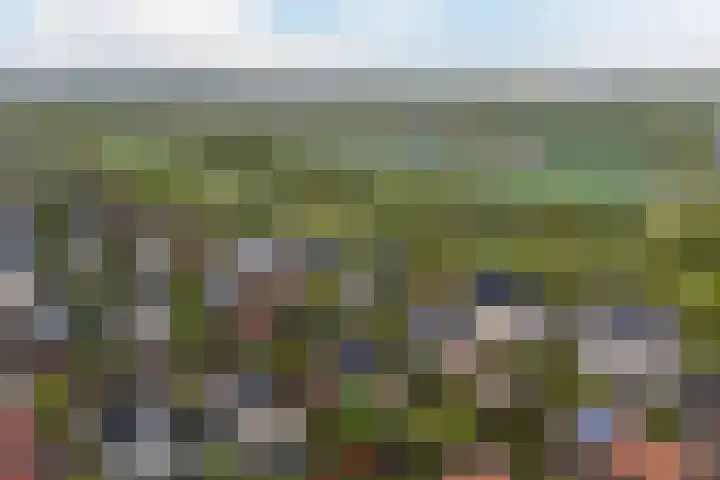 Leo Fallplantsoen 12 Utrecht thumbnail 69