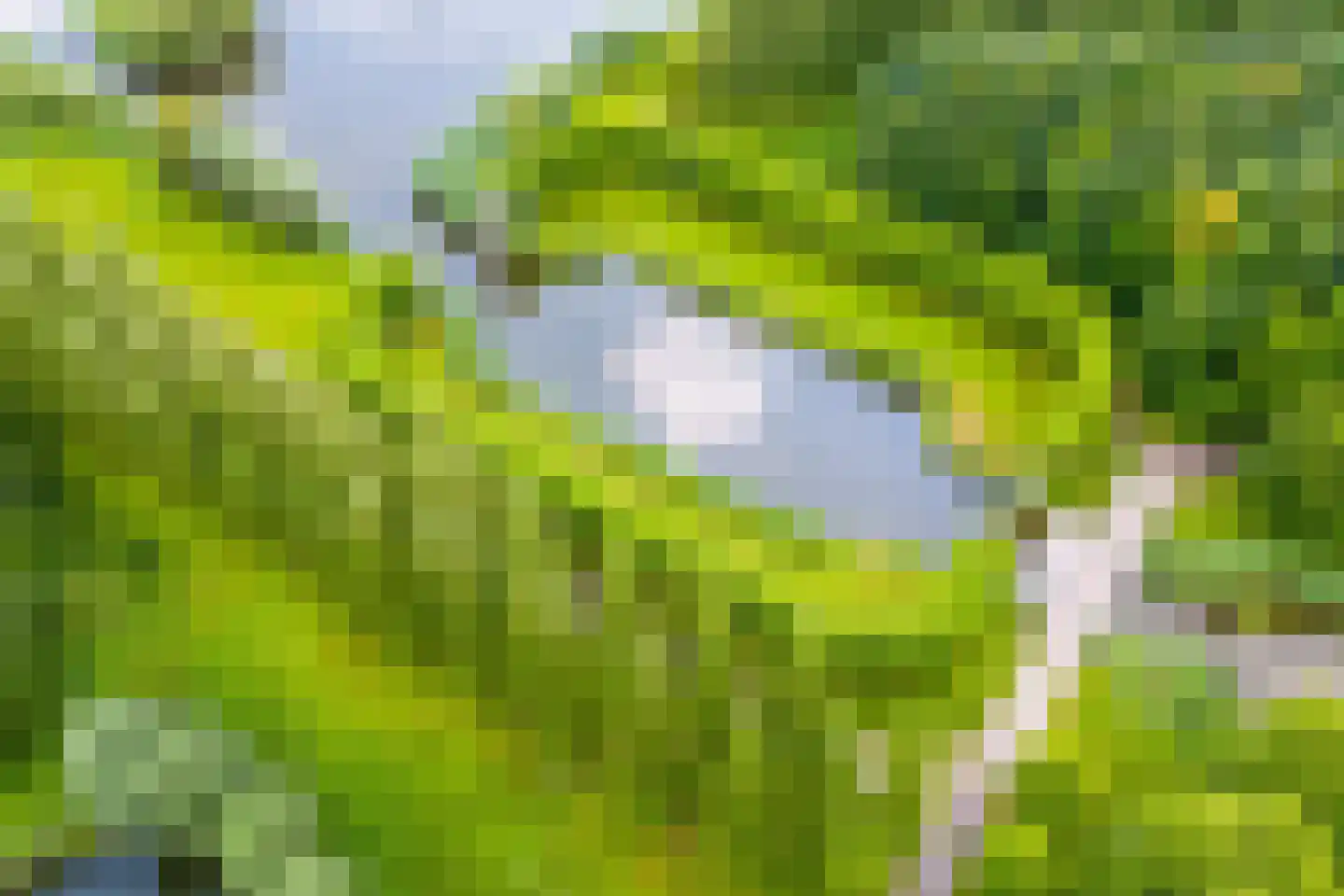 Leo Fallplantsoen 15 Utrecht thumbnail 48