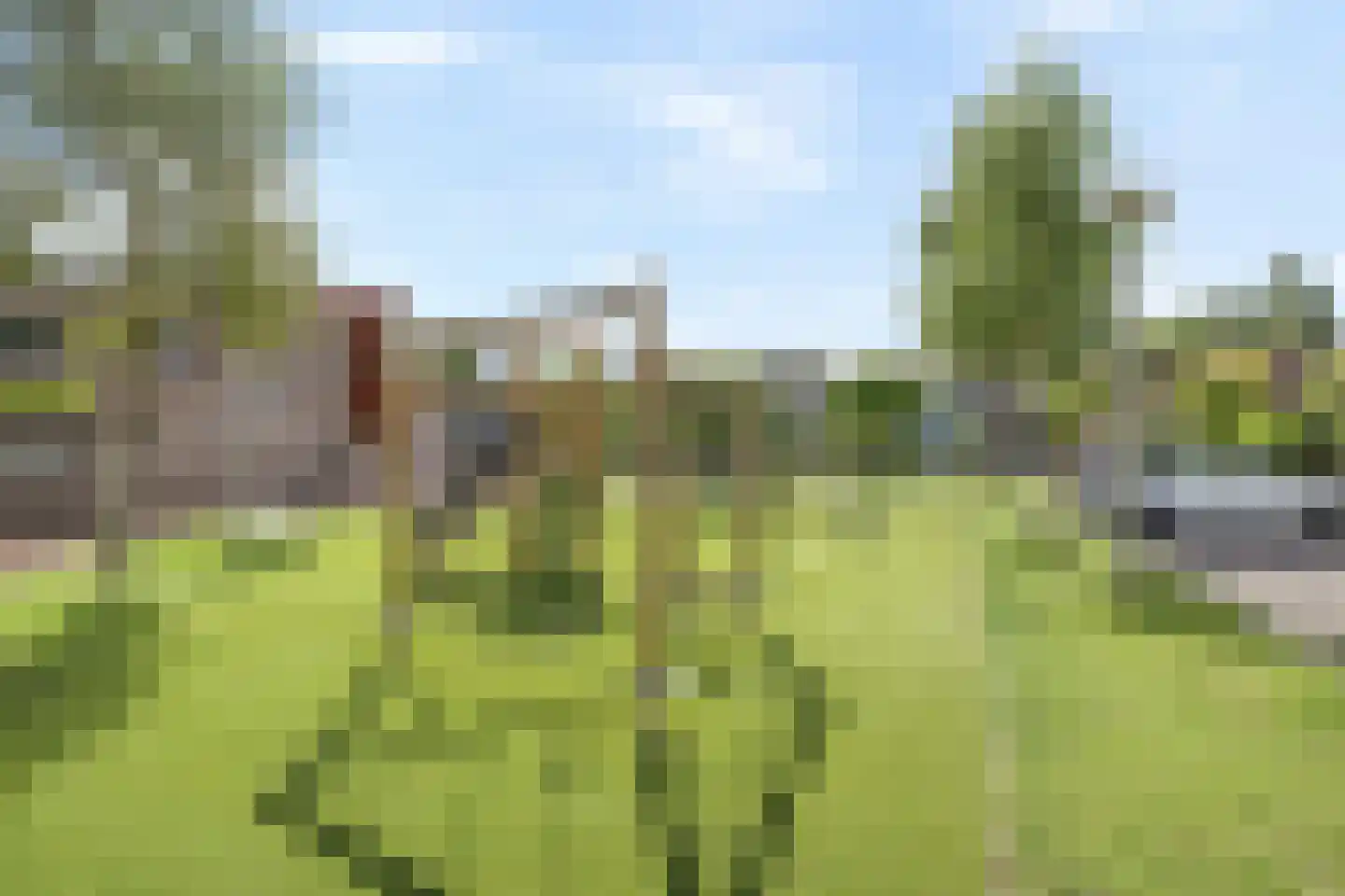 Leo Fallplantsoen 19 Utrecht thumbnail 27