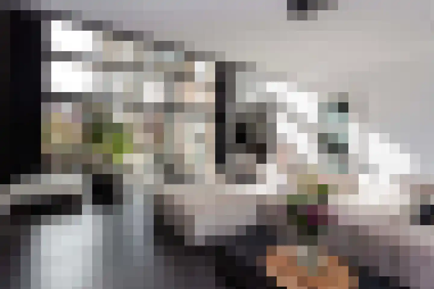 Leo Fallplantsoen 20 Utrecht thumbnail 10