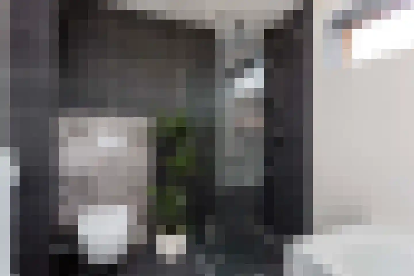 Leo Fallplantsoen 20 Utrecht thumbnail 27