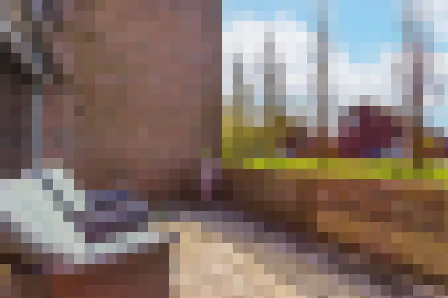 Leo Fallplantsoen 20 Utrecht thumbnail 47